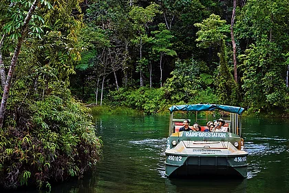 Inside Queensland’s Daintree Rainforest—The World’s Oldest Living Forest