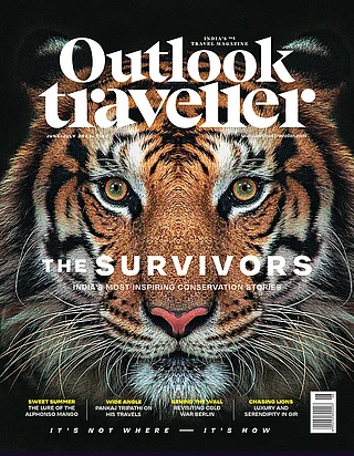 The Survivors India’s Most Inspiring Conservation Stories