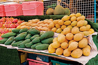 In Praise Of Mangoes: Why India’s Favourite Fruit Deserves A Celebration